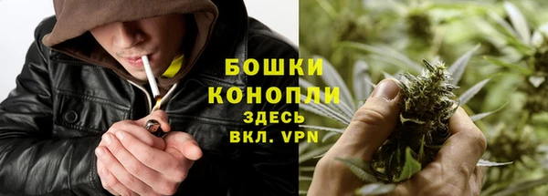 бутират Арсеньев
