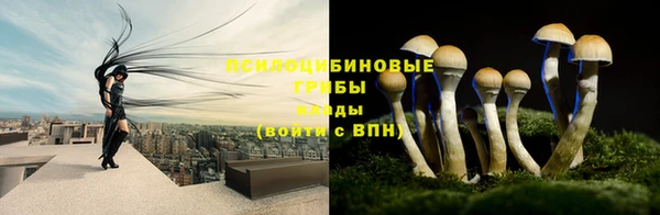 спиды Армянск