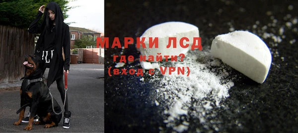a pvp Аркадак