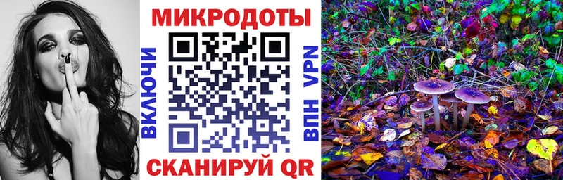 Псилоцибиновые грибы Psilocybine cubensis  Купить  Красноармейск 
