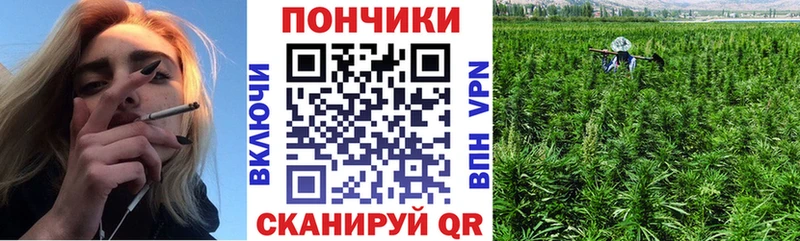Канабис OG Kush  Купить где  Красноармейск 